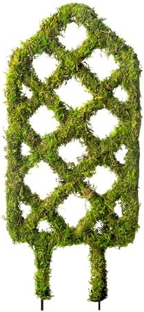 SuperMoss Plant Trellis - Decorative Garden Trellis for Climbing Plants Indoor & Outdoor | Moss-Covered Plant Support for Raised Garden Bed, Patio, Planters, and Garden Decor, Mini 17" X 6.5", Diamond by SuperMoss