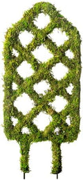 SuperMoss Plant Trellis - Decorative Garden Trellis for Climbing Plants Indoor & Outdoor | Moss-Covered Plant Support for Raised Garden Bed, Patio, Planters, and Garden Decor, Mini 17" X 6.5", Diamond by SuperMoss