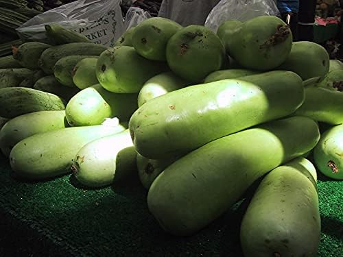 Gaea's Blessing Seeds - Bottle Gourd Seeds - Opo Squash - Non-GMO Seeds with Easy to Follow Planting Instructions - NAM Tao Yao Heirloom 94% Germination Rate - Image 5