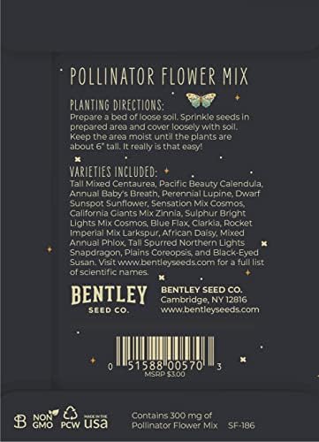 Bentley Pollinator Wildflower Mix, 25 Non-GMO Non-Coated Packets for Garden Planting, Help Butterflies and Pollinators, Beautiful Gift - Image 4