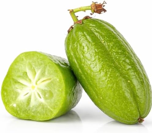 Bilimbi Tree (Averrhoa Bilimbi) – Live Tropical Fruit Tree – Cucumber Tree – USDA Certifi - Image 3