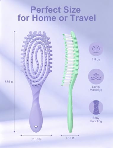 HIPPIH 2 Pack Hair Brush - Wet Dry Detangler Brush, Hair Brushes for Women - Image 2