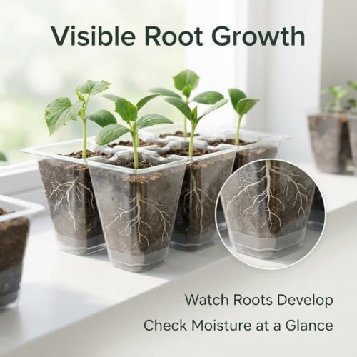 Gardzen 10 Pack Push-Up Seed Starting Tray, Pop Up Plant Germination Trays, Seed Starter Kit with Adjustable Humidity Vented Dome, 6.6" x 4.5", Total 120-Cell, Clear - Image 4