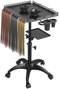 ZHOOGE Hairstylist Rolling Cart, Salon Trolley With Storage Platform and Hair Separator Stand, Coloring Tray With Dye Bowls and Tools, Black by ZHOOGE