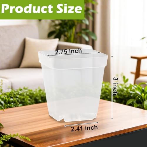 RooTrimmer 2.7 Inch Square Nursery Pots, 60 Packs Clear Seedling Pots with Drainage Holes, Reusable Propagation Pots Small Plant Container for Indoor Outdoor Gardening - Image 2
