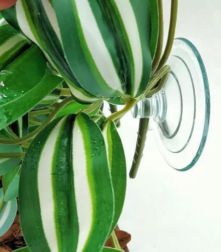 Fake Reptile Plants for Terrarium,Hanging Plant with Suction Cup - Image 4