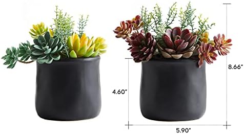2pack Fake Plants in Ceramic Black Pots Artificial Succulents - Image 5