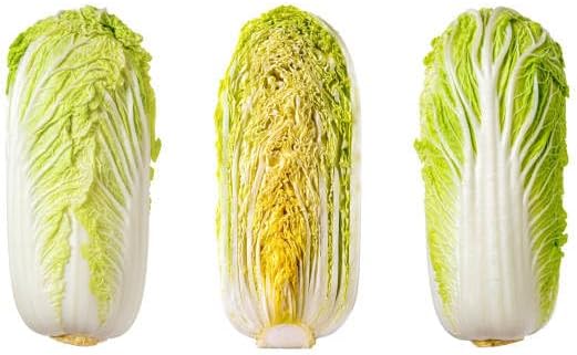 Napa Cabbage Seeds for Planting, 100+ Non-GMO Organic Michihili Cabbage Seeds, Heirloom Napa Cabbage Seeds, High Germination Rate, for Home Garden Outdoor, Easy to Grow for Beginner Gardeners - Image 2