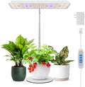 Grow Light, 11in Full Spectrum Desk Plant Light for Indoor Growing by Wiaxulay