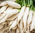 Japanese Daikon Radish Seeds for Planting - 100 Heirloom Non GMO Seeds - Full Planting Instructions to Plant & Grow a Home Vegetable Garden - Great Gardening Gift, 1 Packet by Axel%27s+Garden+Seeds
