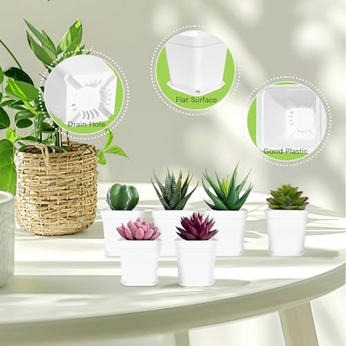 Anyumocz 24Pcs 3" Square Plastic Plant Pots,White Nursery Pots with Saucers,Seedling Nursery Transplanting Planter Container for Plants,Garden,Flower,Home,Office,Balcony Decor,Indoor,Outdoor - Image 3
