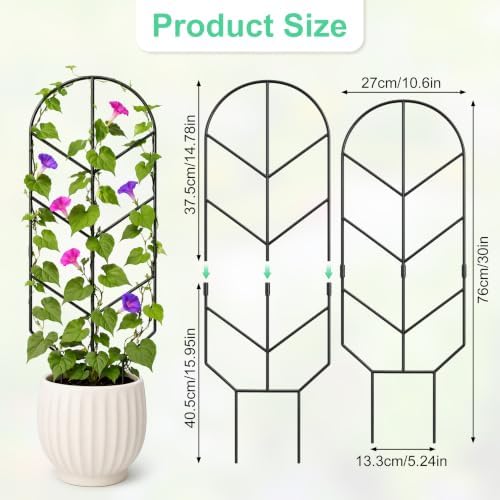 2 Pack Large Metal Trellis for Climbing Plants, 30'' Tall Garden Plant Support for Potted Plants Indoor, Modern Decorative Trellis for Jasmine, Wisteria and Lilac Vines (Black - Image 2