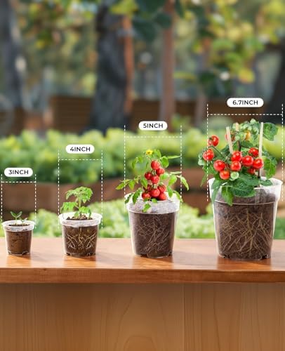 homenote 3/4/5/6.7 Inch Clear PP Nursery Pots with Drainage Holes (36 Pcs) - Image 4