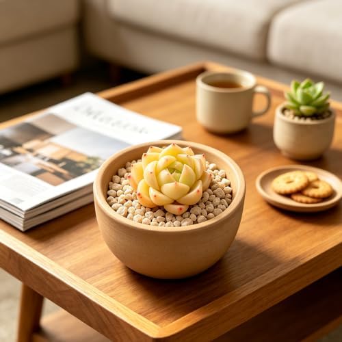 Live Succulent Echeveria 'Peachy Cheeks', 2 Inch Potted Rooted Houseplant - Image 5