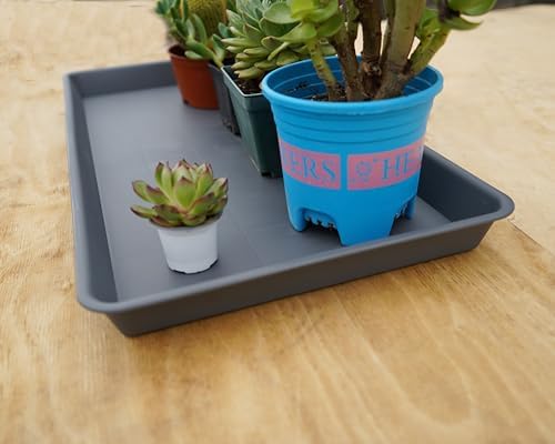 VUWEZ 2 Pack Plant Saucer Tray Rectangular, Plant Growing Nursery Trays, Heavy Sturdy Seed Starting Trays, Plant Starter Trays for Indoors No Holes, Seed Starter Growing Tray (17.5"x10.6", Gray) - Image 6