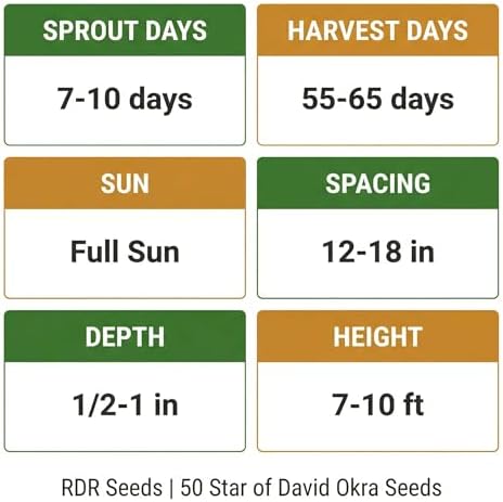 50 Star of David Okra Seeds for Planting - Large Round 8-Ridged Pods, Israeli Heirloom, Non-GMO, USA Grown by RDR Seeds - Image 4