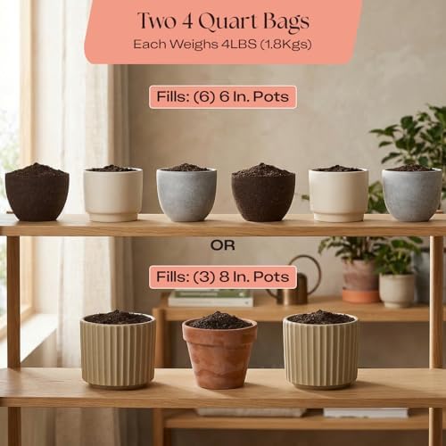 Rosy Soil Cactus & Succulent Potting Mix, 4 Quarts, Pack of 2 - Image 6