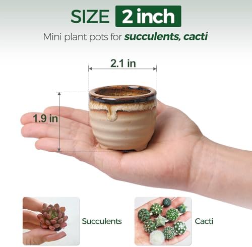 T4U Mini Ceramic Succulent Pots, Small Gift Planters, Retro Decor Set of 6 - Image 3