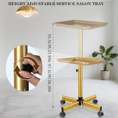 Salon Tray, Gold Salon Rolling Tray, Salon Tray Cart on Wheels - Image 2