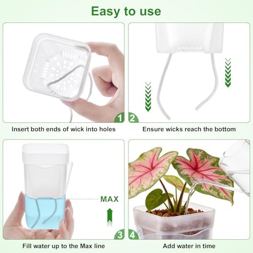 2.5" Clear Self Watering Pots for Indoor Plants,16PCS Mini Plastic Nursery Planters with Water Level Indicator & Drainage Holes for Propagation,Succulents,Seedling,African Violet,Plant Labels - Image 5