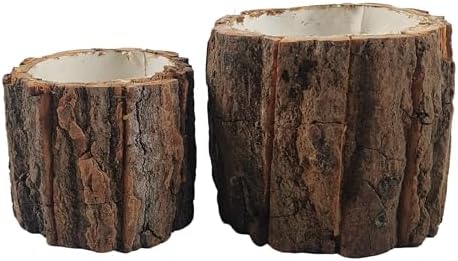 Tree Stump Planter by Unknown