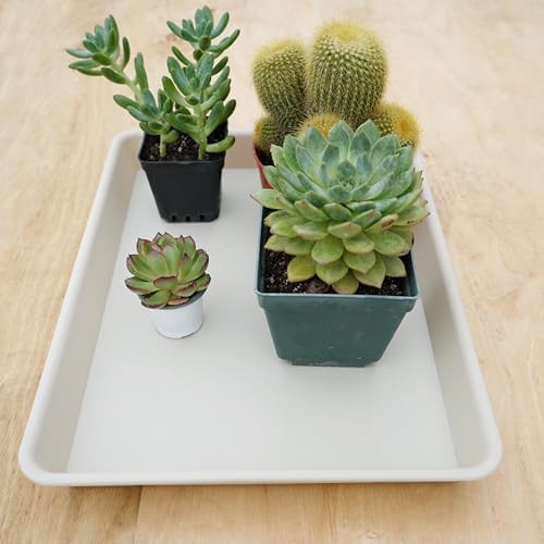 VUWEZ 2 Pack Rectangular Plant Saucer Tray, Heavy Duty Plastic, Beige, 17.5" x 10.6" x 1.5" (2 pack), Plant Drip Trays for Pots, Seed Starter Growing Trays, Indoor/Outdoor Use - Image 5