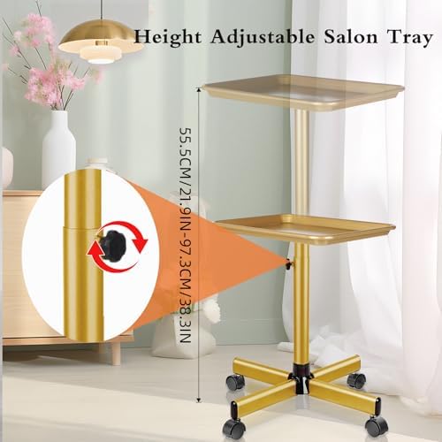 Salon Señor Salon Tray on Wheels Tattoo Rolling Tray Salon Service Cart Height Adjustble Hair Service Color Tray Gold - Image 4