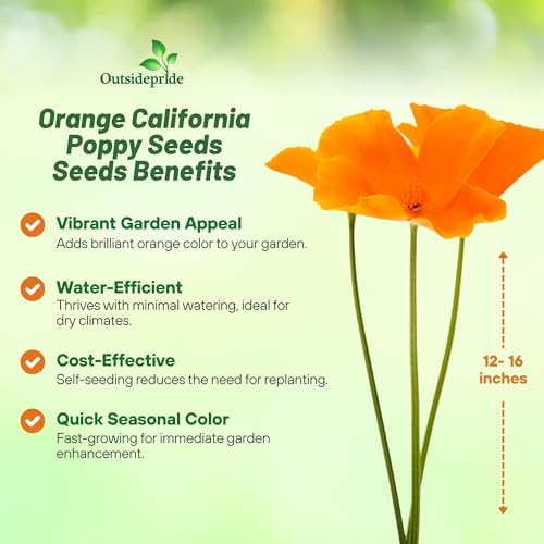 Outsidepride Eschscholzia Orange California Poppy Seeds - 1 lb. Annual, Native, Drought Tolerant Wildflower Seeds w/Vibrant Blooms for Full Sun & Drought-Tolerant Pollinator-Friendly Gardens - Image 4