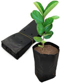 Belit 100 Pcs Plant Nursery Bags, Plastic Seedling Pots Container for Fruit Tree, Flower, Starting saplings, Plant Grow(4.7"x7.3") by Belit