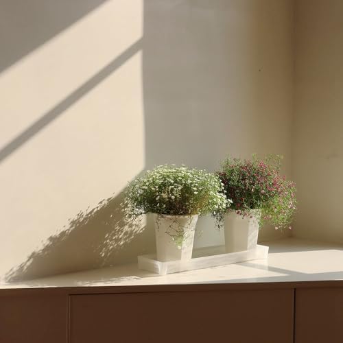 8 Pack 6.10 Inch White Plastic Deep Nursery Pot and Seedling Planter for Succulent, Cutting, Transplanting - Image 3