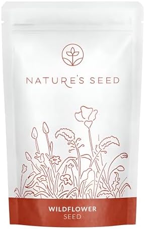 Nature’s Seed Brittlebush Wildflower Flower Seeds for Planting, Drought-Tolerant, Pollinator Friendly, Ideal for Desert Wildlife, 0.25 lbs by Nature%27s+Seed