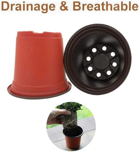 Baaxxango 100 Pcs 3.5 Inch Plastic Seedlings Plants,Nursery Pots,Seed Starting Pot for Succulents, Seedlings, Cuttings, Transplanting - Image 3