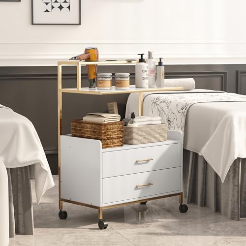 Salon Rolling Trolley with Lockable Wheels Barber Cart with Storage Drawer Mobile Hair Station Cabinet for Beauty Makeup Esthetician Spa Massage (White+one Shelf+Two Drawers) - Image 5