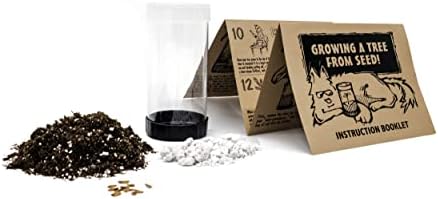 Giant Sequoia | Tree Seed Grow Kit | The Jonsteen Company - Image 2