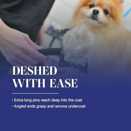 Chris Christensen Baby K Dog Slicker Brush, Groom Like a Professional, Fluff Detangle Style, Saves Time Energy, Black, Small - Image 4