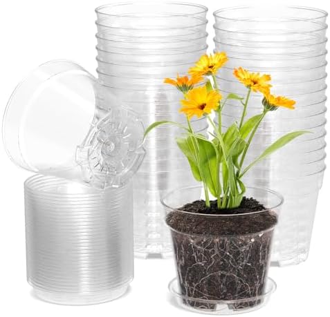 WSMKSZ 4 Inch Clear Nursery Pots, Set of 30 Transparent Plant Flower Pots for Small Indoor Plants with Drainage Holes & Trays, Plastic Seedling Starter Pots for Various Plants by WSMKSZ
