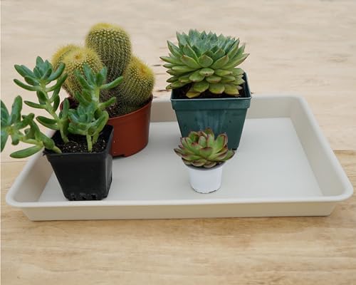 VUWEZ 2 Pack Rectangular Plant Saucer Tray, Heavy Duty Plastic, Beige, 17.5" x 10.6" x 1.5" (2 pack), Plant Drip Trays for Pots, Seed Starter Growing Trays, Indoor/Outdoor Use - Image 4