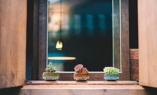 Cute Ceramic Succulent Garden Pots, Planter with Drainage and Attached Saucer, Set of 5 -Plants Not Included (Round) - Image 2