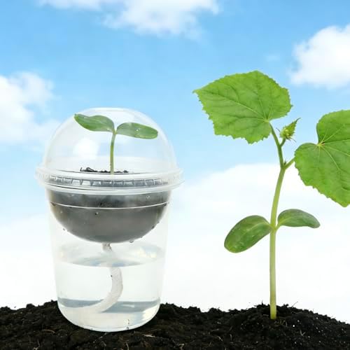15 Set Nursery Pots with Humidity Dome, Clear Nursery Pots with Drainage, Self Watering Small Plant Pots, Seedling Pots for Plants, Seed Starter Pots for Planting Vegetables Fruit (Thick) - Image 2