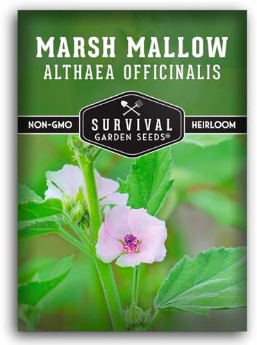 Marsh Mallow Seeds for Planting - Survival Garden Seeds (1 Pack) by SurvivalGardenSeeds