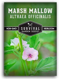 Marsh Mallow Seeds for Planting - Survival Garden Seeds (1 Pack) by SurvivalGardenSeeds