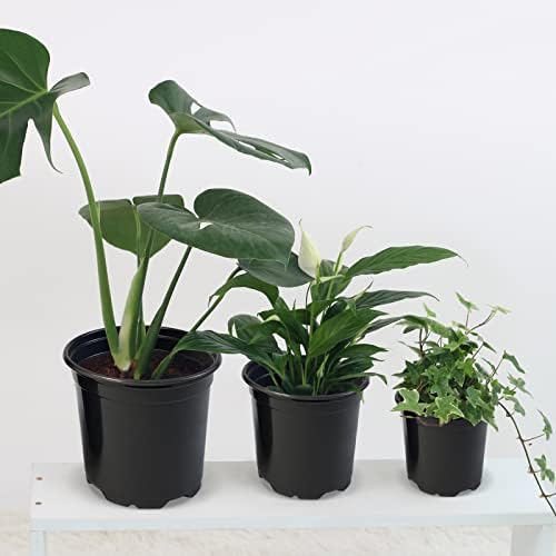 RAOOKIF 50 Pack Nursery Pots, 3 Inch Nursery Pot for Plants, Small Plastic Plant Pots with Drainage Holes, Garden Flower Pots for Transplanting, Succulents, Cuttings, Seedlings(3inch,50pcs) - Image 5