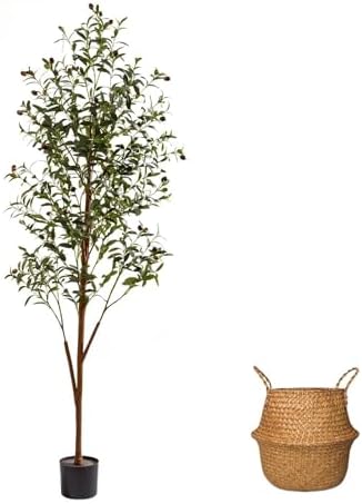 6FT Artificial Olive Tree Indoor, Tall Faux Olive Tree with Pot&Basket, Large Fake Olive Tree with Realistic 1080 Silk Leaves and 60 Fruits for Living Room Home Office Decor. by Unknown