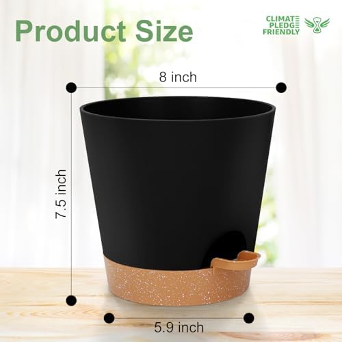 YNNICO 8-Inch Plant Pots, Self-Watering Planters with Drainage Holes & Saucers for Indoor and Outdoor Plants (2-Pack,Black) - Image 4