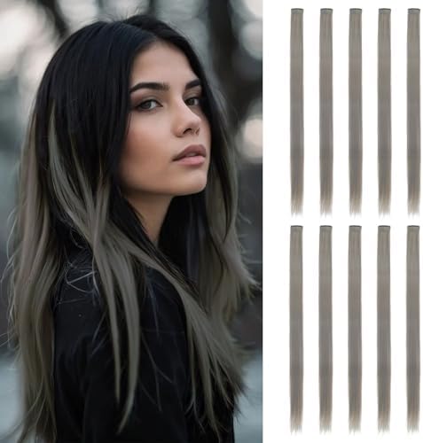 10 Pcs Colored Clip in Hair Extensions Gray Brown 22 Inch by Sala