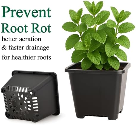 50 Packs Square Nursery Pots for Plants 4 Inch Seedling Pots with Holes - Image 4