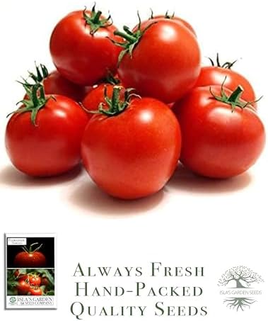 Floradade Tomato Seeds for Planting, 300+ Heirloom Seeds Per Packet, (Isla's Garden Seeds), Non GMO Seeds, Botanical Name: Solanum lycopersicum, Great Home Garden Gift - Image 4