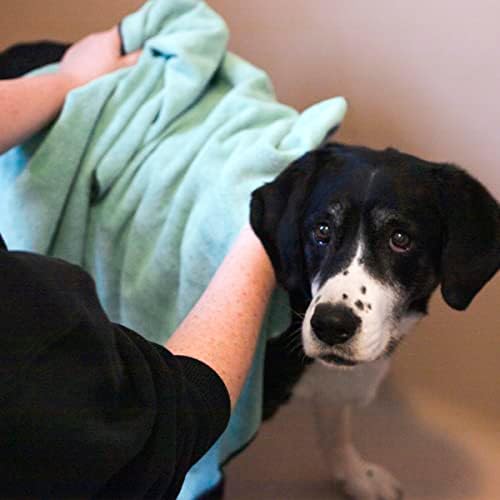 Ritz Embroidered Microfiber Pet Towel, Large, Paw Spa Blue, 2 Towel Set - Image 4
