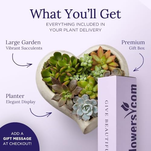 1800 Flowers - Sweet Succulent Heart Garden Large | Succulent for Delivery - Image 2
