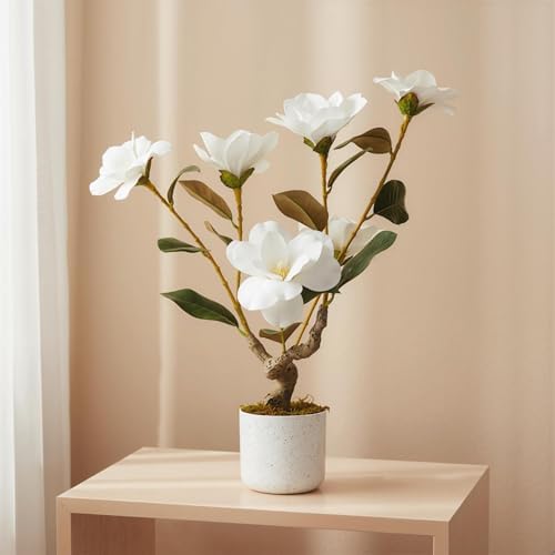 2FT Artificial Magnolia Tree with Pot, Faux Flower Tree with White Magnolia Blooms and Green Leaves, Potted Artificial Plant for Living Room, Bedroom, Office, Entryway, Store, Home Dector by GaoMon